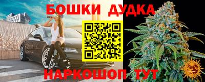 стаф Обь